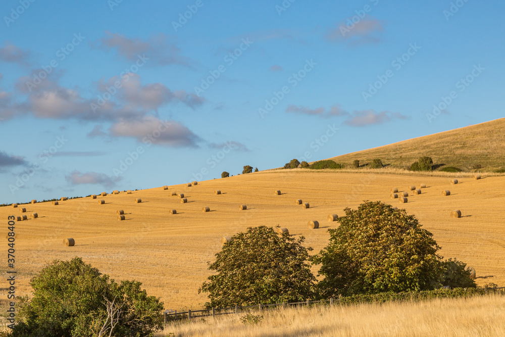 Obraz premium Hay Bales in a Sussex Field