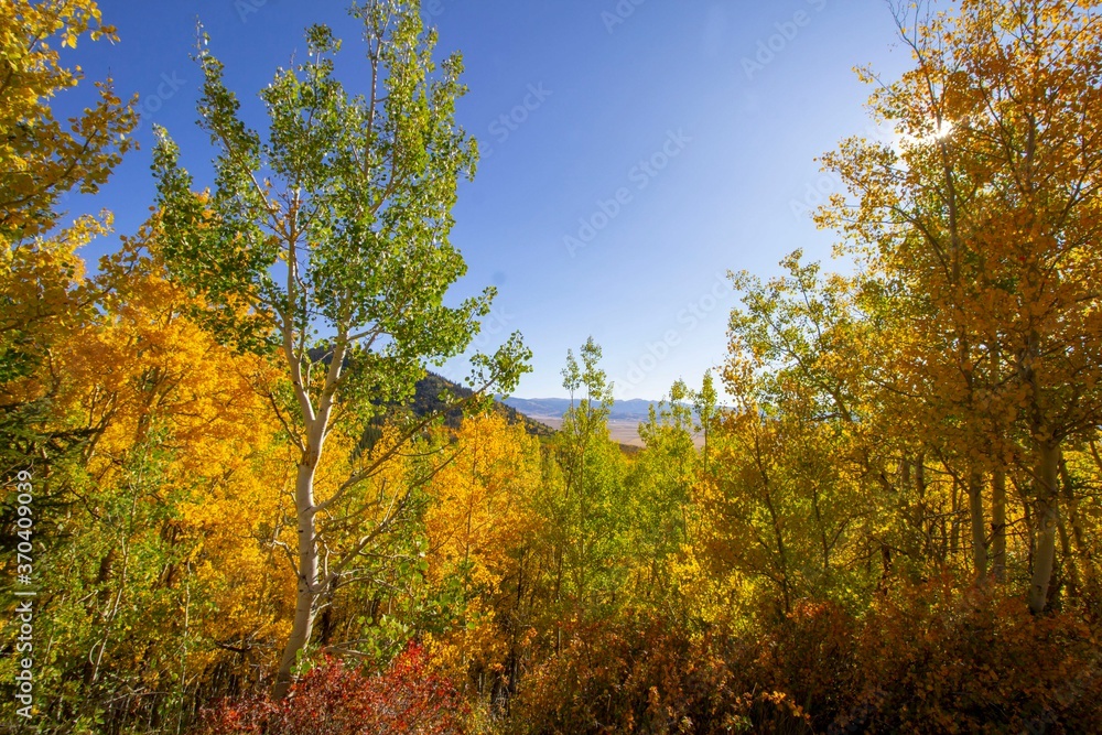 Colorado Rockies in the Fall