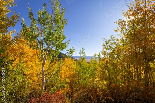 Colorado Rockies in the Fall