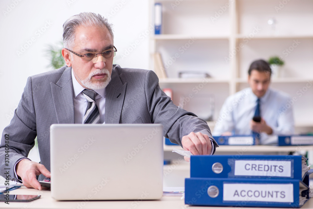 Two accountants working in the office Two accountants working in the office