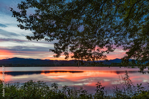 Wilson Lake, spring 2018, Pisgah Forest with large tree at sunset