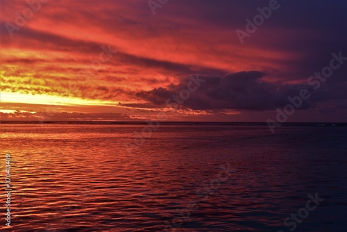 Red Tropical Sunset