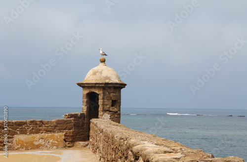 Seagull sits on the round roof of the fortress wall against the background of the sea