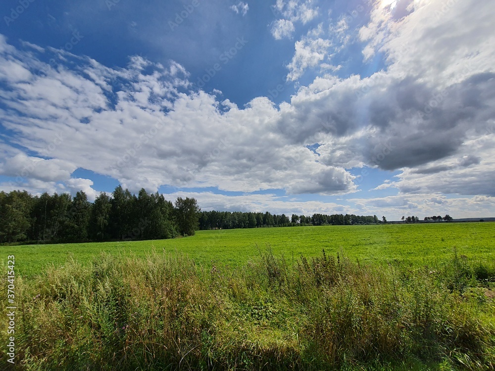 Obraz premium field and sky