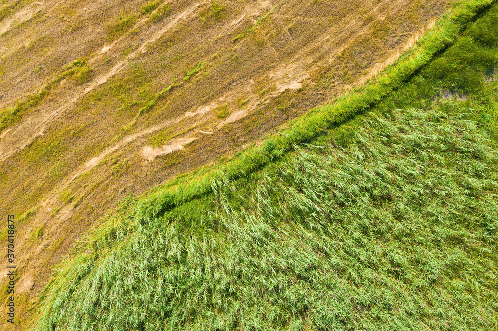 Green and yellow fields and meadows. Aerial view. Green and yellow fields and meadows. Aerial view.