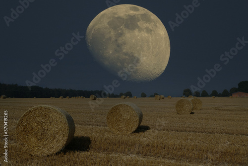 moon on the field