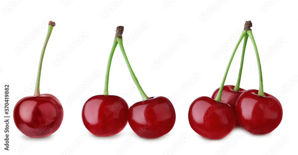 Set of ripe cherries on white background. Banner design Set of ripe cherries on white background. Banner design
