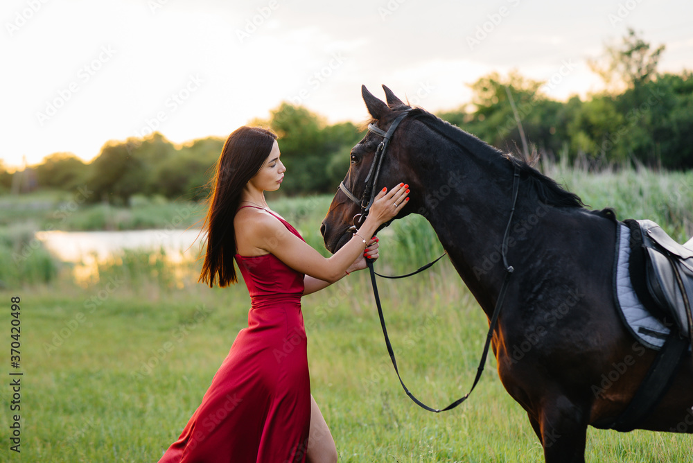 Obraz premium A young pretty girl in a red dress poses on a ranch with a thoroughbred stallion at sunset. Love and care for animals