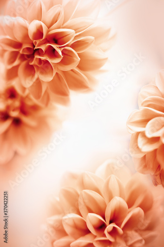 Autumn floral composition made of fresh yellow dahlia on light pastel background. Festive flower concept with copy space.