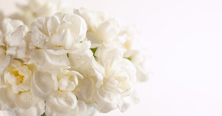 Floral composition made of beautiful white flowers on light backdrop. Floristic decoration. Natural floral background with carnations.