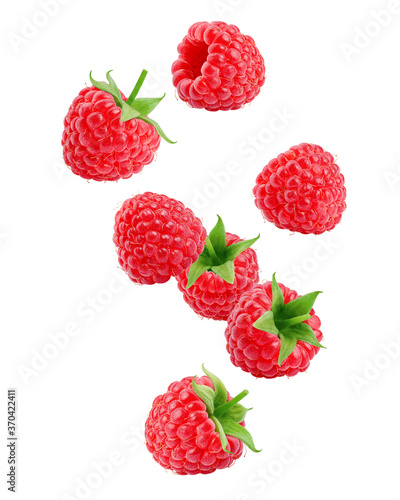 Falling Raspberry isolated on white background, clipping path, full depth of field