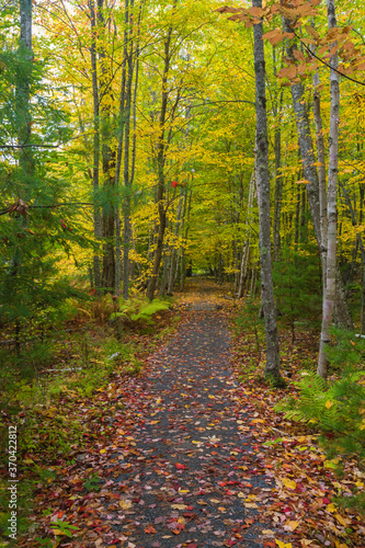 Path, Sieur de Monts Nature Center area, Acadia National Park, Maine