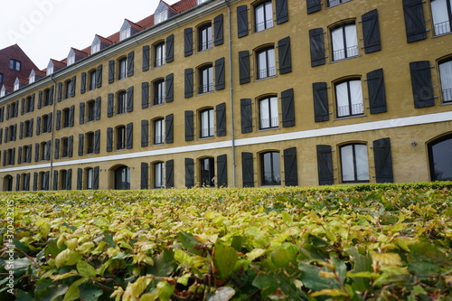 old building with flowers