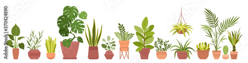 House plants home decor vector illustration set. Cartoon potted green plants flowers collection, houseplants in clay pot, hanging decorative flowerpots isolated on white background. photo