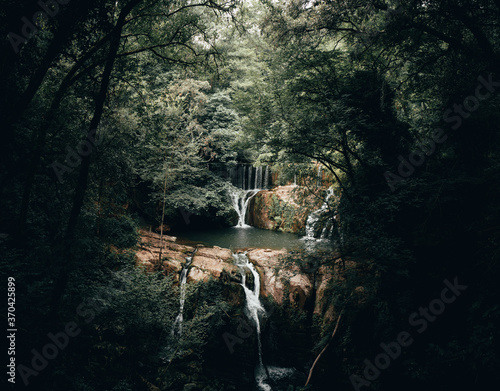 Wallpaper Mural Natural forest landscape with a river with waterfalls in the middle Torontodigital.ca