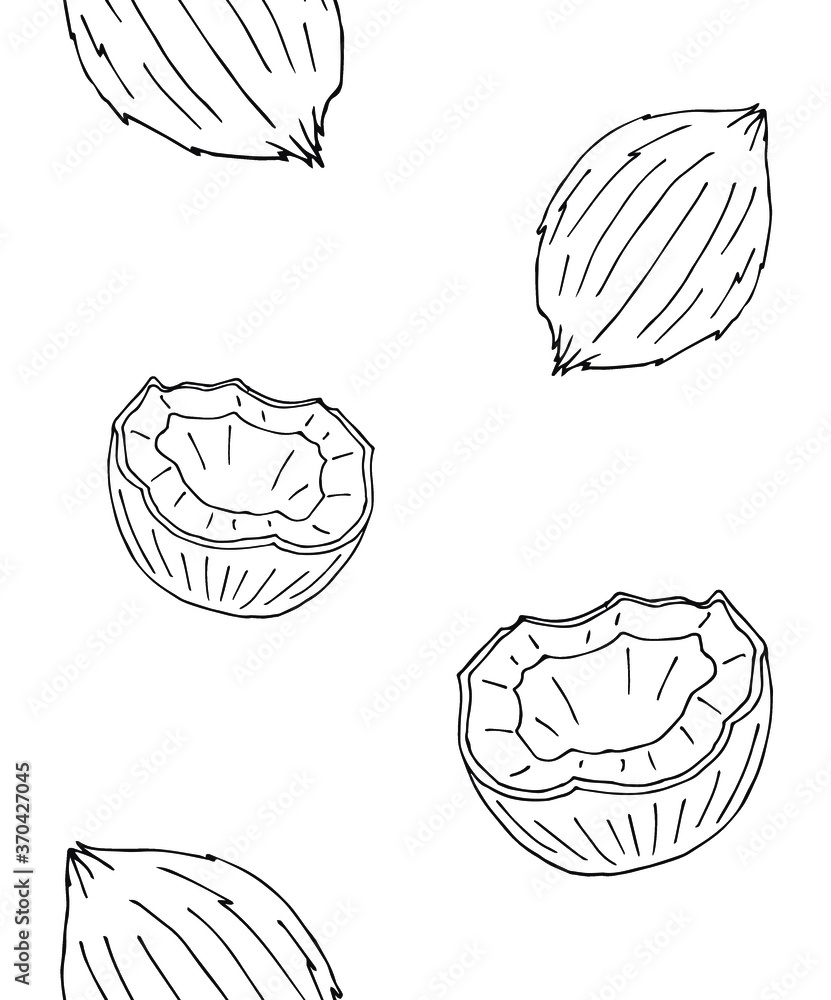 Fototapeta premium Vector seamless pattern of hand drawn doodle sketch coconut isolated on white background