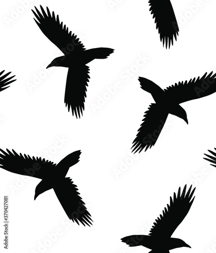 Vector seamless pattern of hand drawn flying raven silhouette isolated on white background