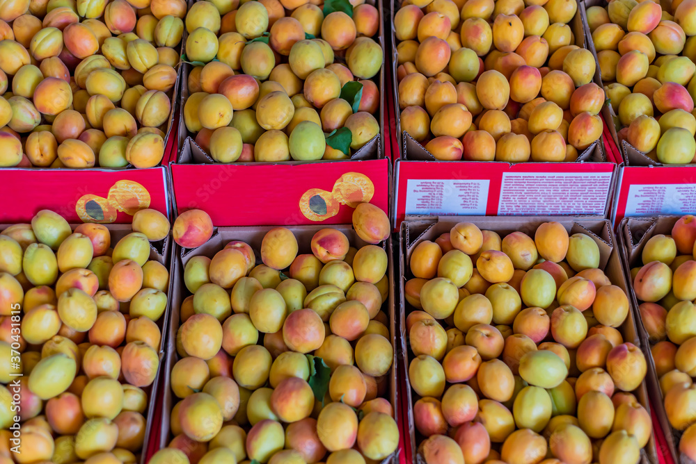 Fresh apricots are sold in crates in the market in Malatya city