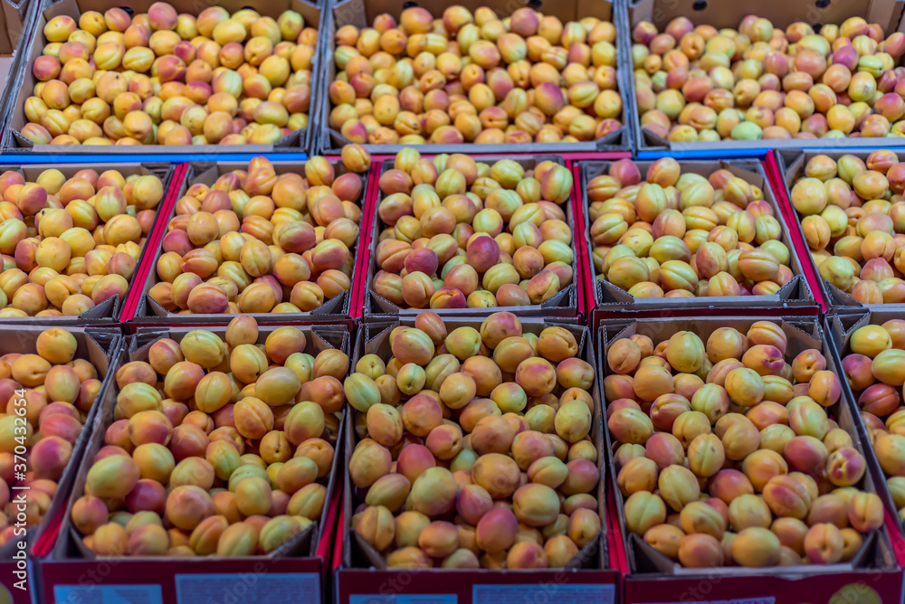 Fresh apricots are sold in crates in the market in Malatya city Fresh apricots are sold in crates in the market in Malatya city