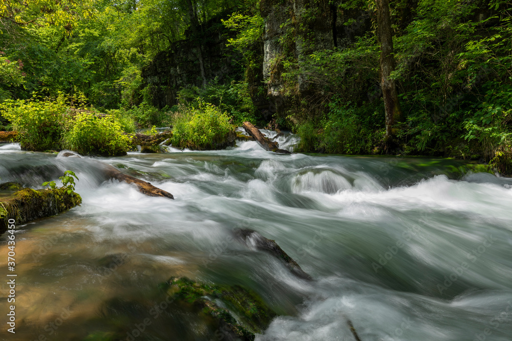 Greer Spring Branch River