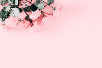 Beautiful flowers composition. Pink  rose flowers on pastel pink background. Valentines Day, Easter, Birthday, Happy Women's Day, Mother's day. March 8. Flat lay, top view, copy space