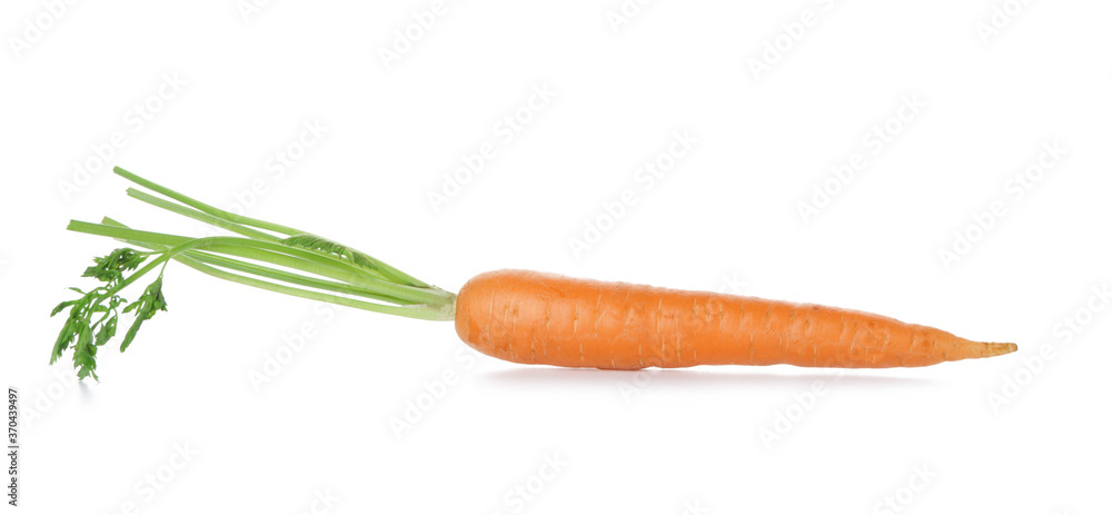 Fresh carrot on white background Fresh carrot on white background