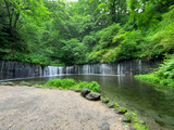 大河ドラマのオープニングにも使われた長野県の観光名所の白糸の滝