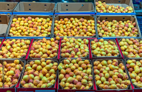 Fresh apricots are sold in crates in the market in Malatya city