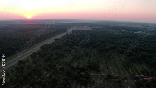 Aerial view flying over an orchard beside a rural highway road in the countryside towards the sunrise or sunset with misty haze above the landscape