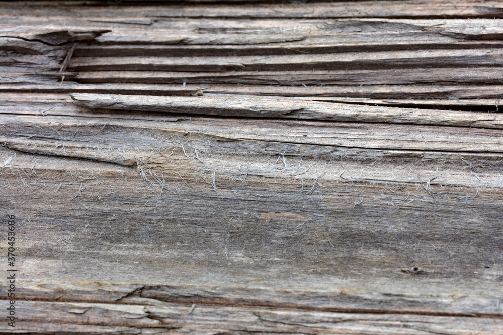 Fototapeta premium Old wooden Background