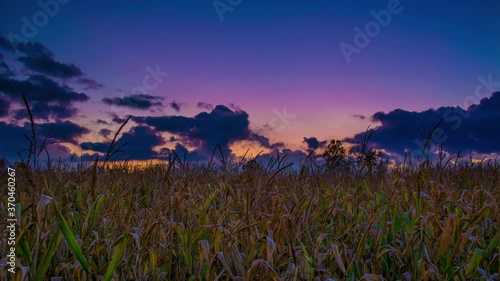 Midwestern Sunset over cornfields and farmers in Iowa and Nebraska Time Lapse Full HD