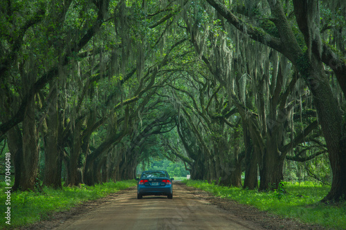 Plantation in Louisiana, USA