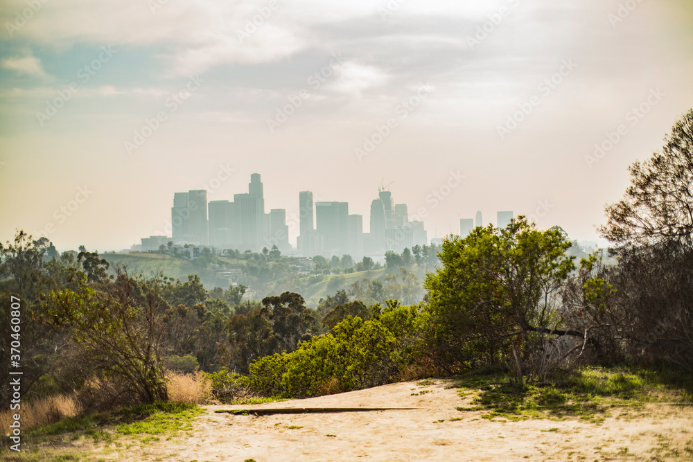 View of DTLA, Elysian Park, Los Angeles, California