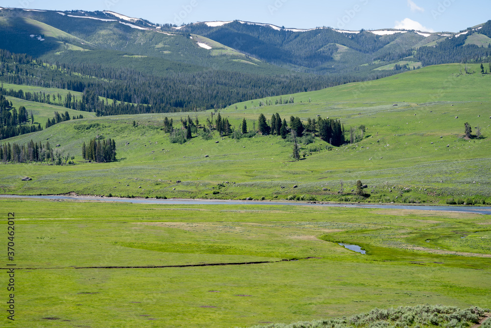 Scenic view of the Lamar Valley area of Yellowstone National Park on a summer morning