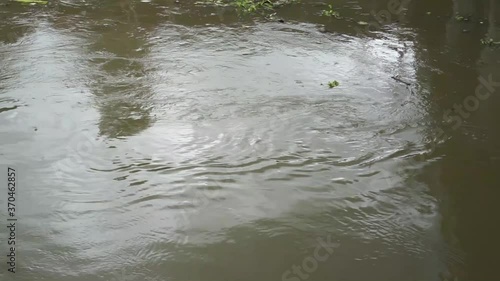 Vortex waves under the bridge
