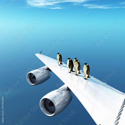 Photography Penguin flying airplane
