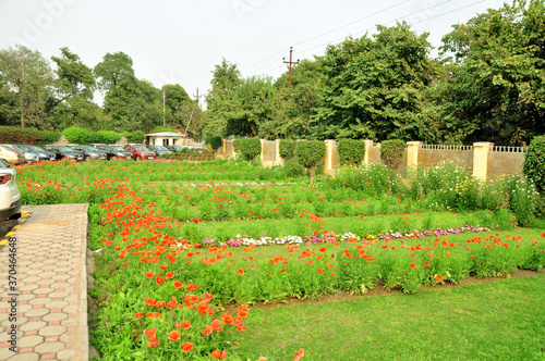 garden in the park