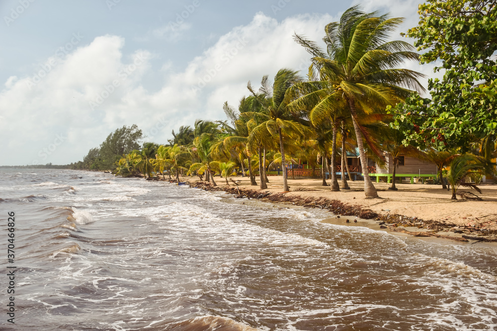 idyllic Belize beach scenery with palm trees and sand
