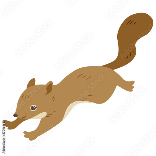 Running squirrel