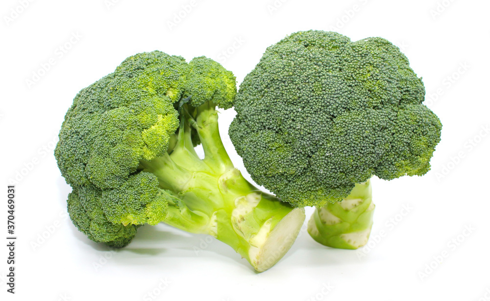 broccoli isolated on white background broccoli isolated on white background