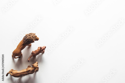 Brown Plastic Toy Lion on White Background