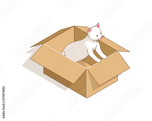 White cat peeking out of a cardboard box. Isometric kitten vector cartoon illustration.