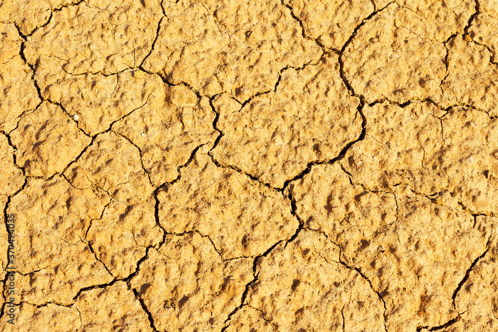 Fototapeta premium Soil cracks desert sands water evaporation stagnation and global warming large cracks in clay soil due to water evaporation