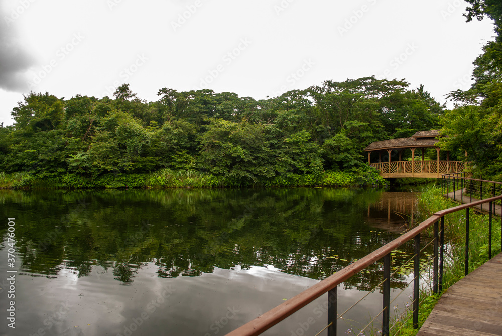 Fototapeta premium 제주도 에코랜드 jeju ecoland