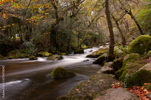 River Plym in the autumn. photo