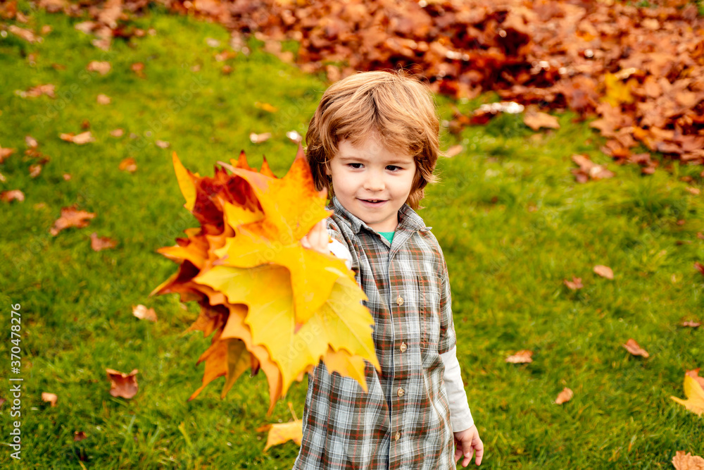 Autumn outdoor portrait of cute child boy walking in park or forest in warm knitted scarf. Autumn outdoor portrait of cute child boy walking in park or forest in warm knitted scarf.