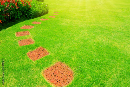 Pattern of Laterite stepping stone on freshness green Lawn garden 