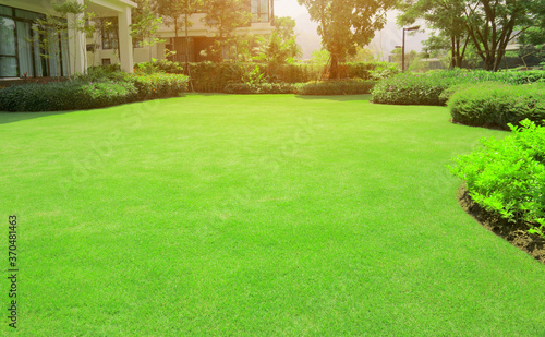 Green grass lawn in backyard outdoor garden  photo
