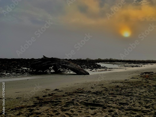 Beach in the morning