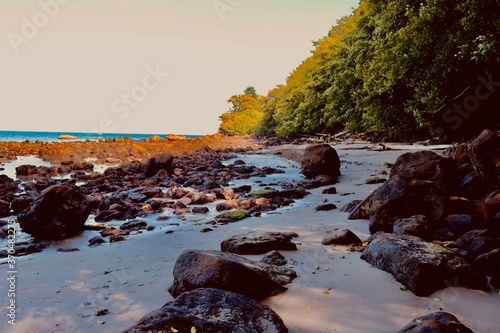 Rocky beach